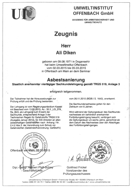 AliDiken2.PNG