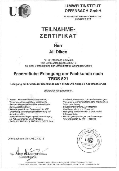 AliDiken3.PNG